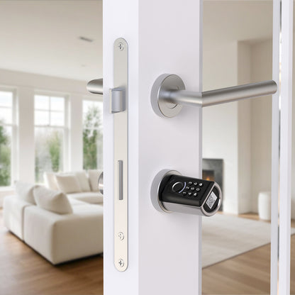 WELOCK Fingerprint Door Lock ToucA51 with Keypad